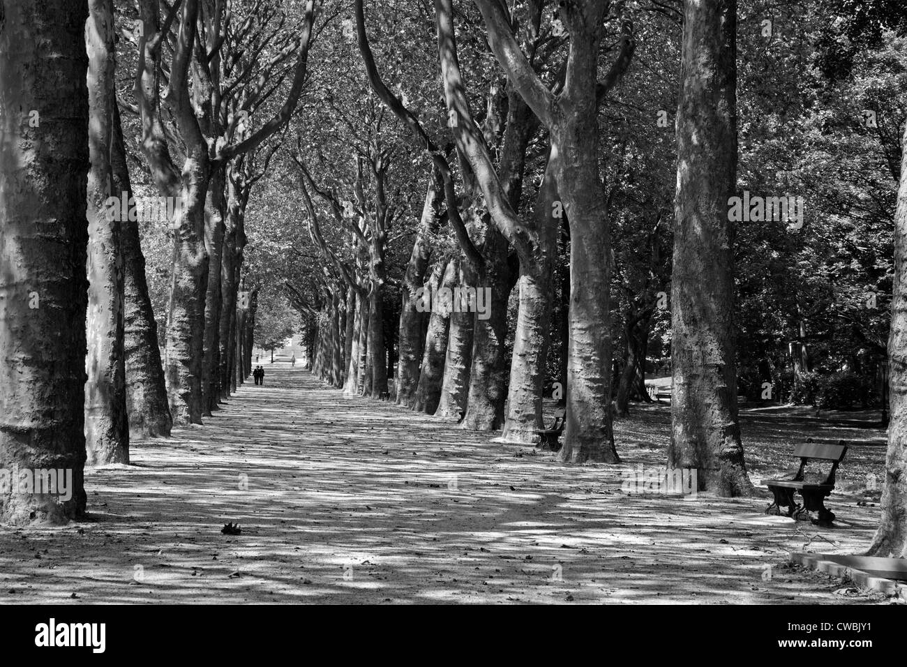 Bruxelles - ruelle dans park pour la basilique Banque D'Images