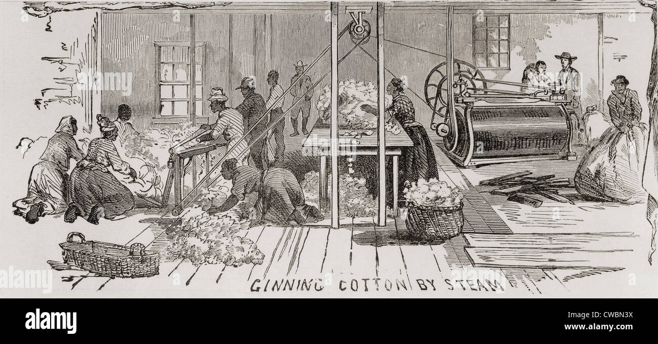 Coton d'égrenage par gin à vapeur en 1861. La production de coton des États-Unis a fourni les usines de textile du Nord des États-Unis et de la Grande-Bretagne, Banque D'Images