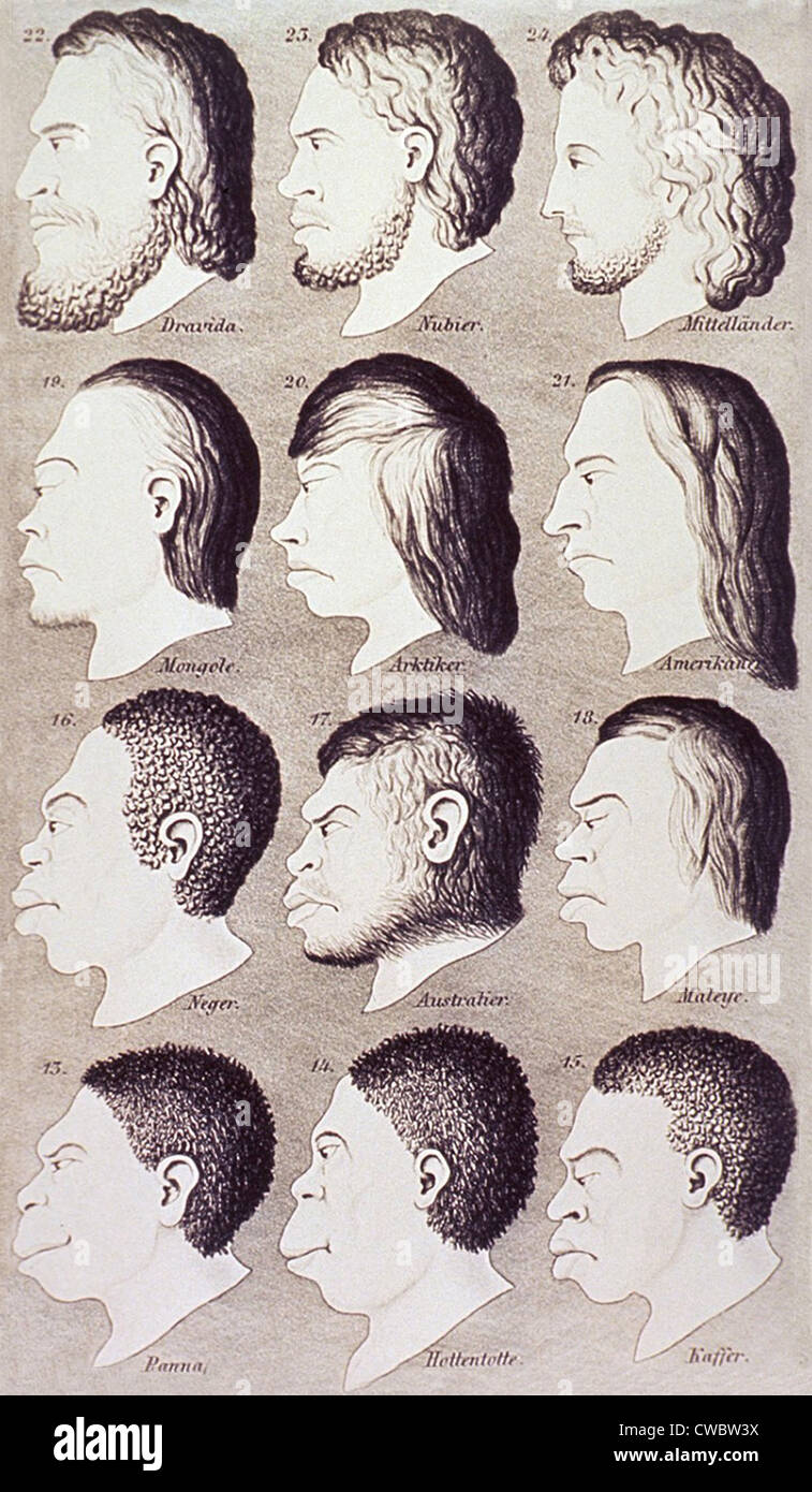 Une série de têtes humaines à partir de la différence entre races et ethnies développent progressivement à partir d'un portrait idéalisé de profil Banque D'Images
