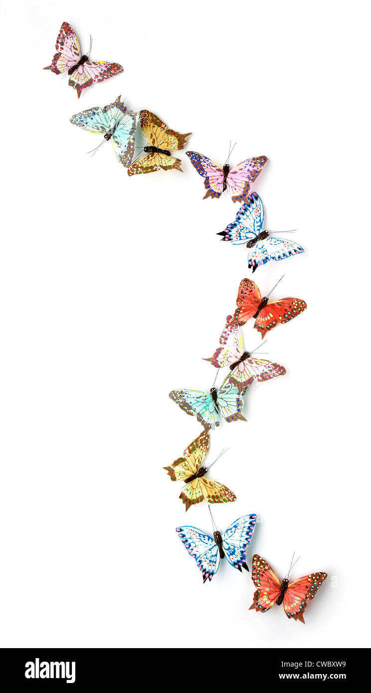Rangée de papillons Banque D'Images