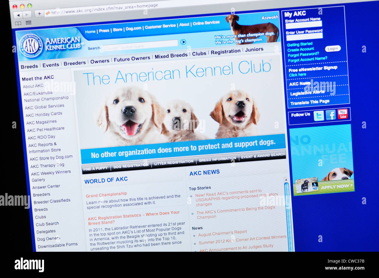 American Kennel Club Site web Banque D'Images