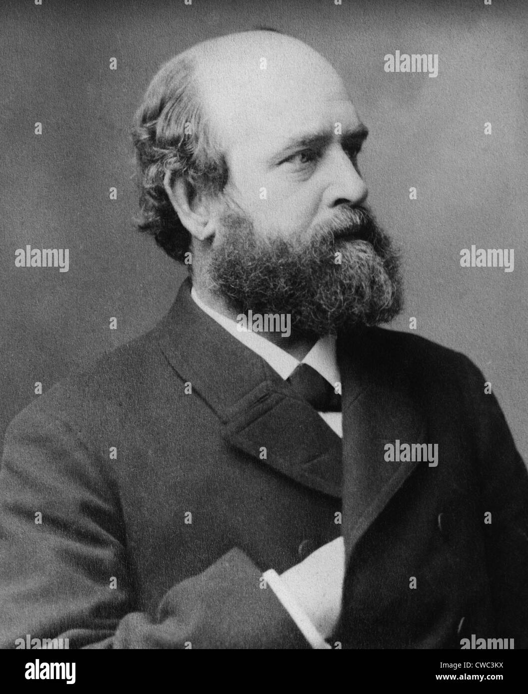 Henry George 1839 -1897 politicien et écrivain économiste politique AUTEUR DE PROGRÈS ET PAUVRETÉ 1879 . Dans son échec Banque D'Images