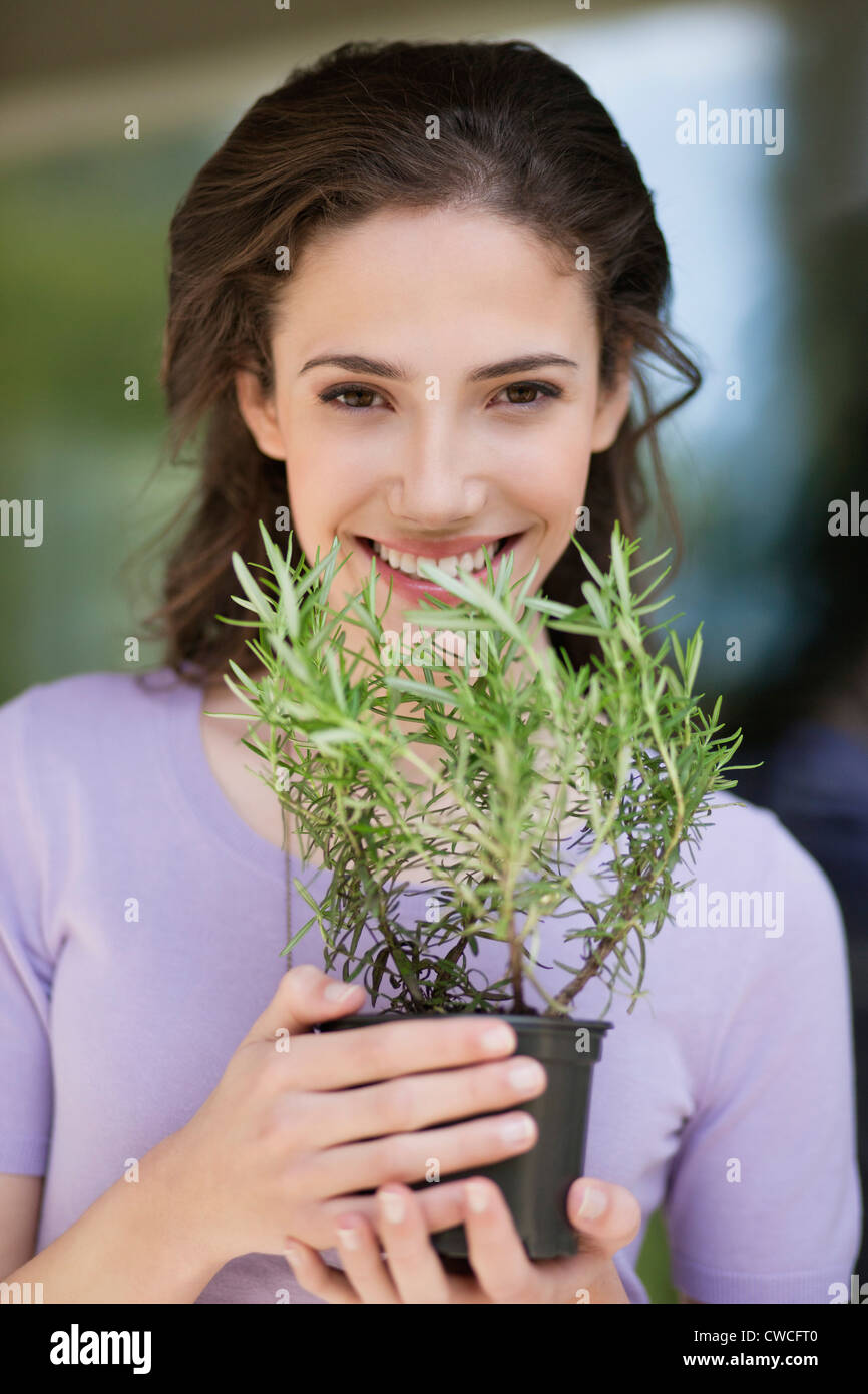 Woman smelling un plant de romarin Banque D'Images