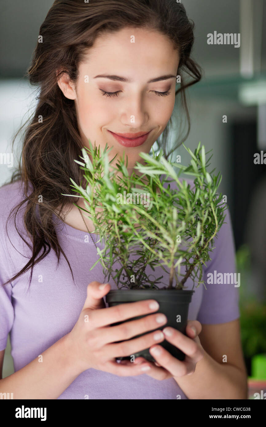 Woman smelling un plant de romarin Banque D'Images