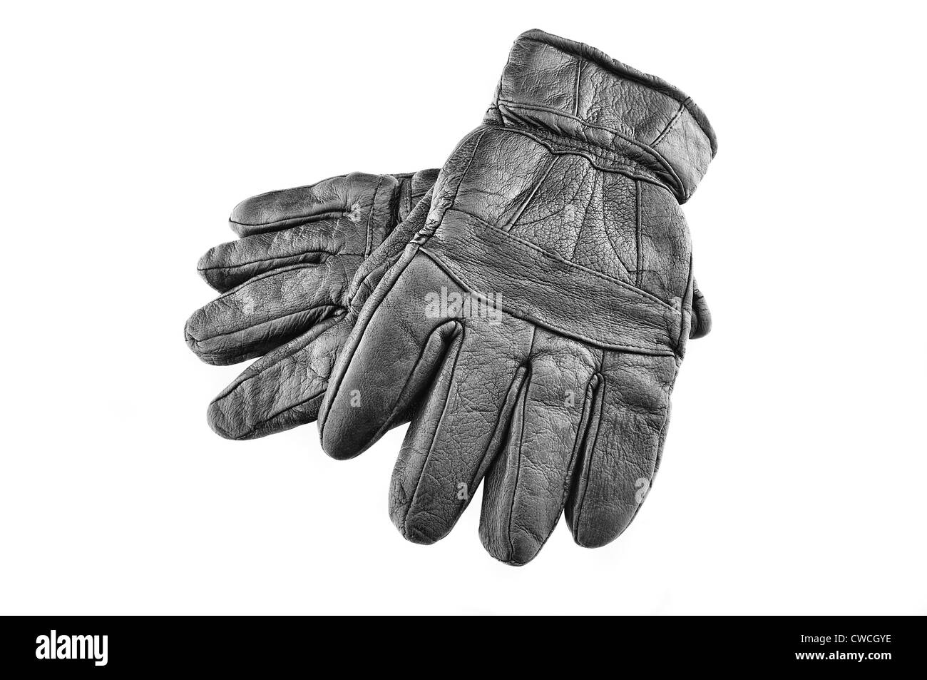 Main en cuir noir gants isolated on white Banque D'Images