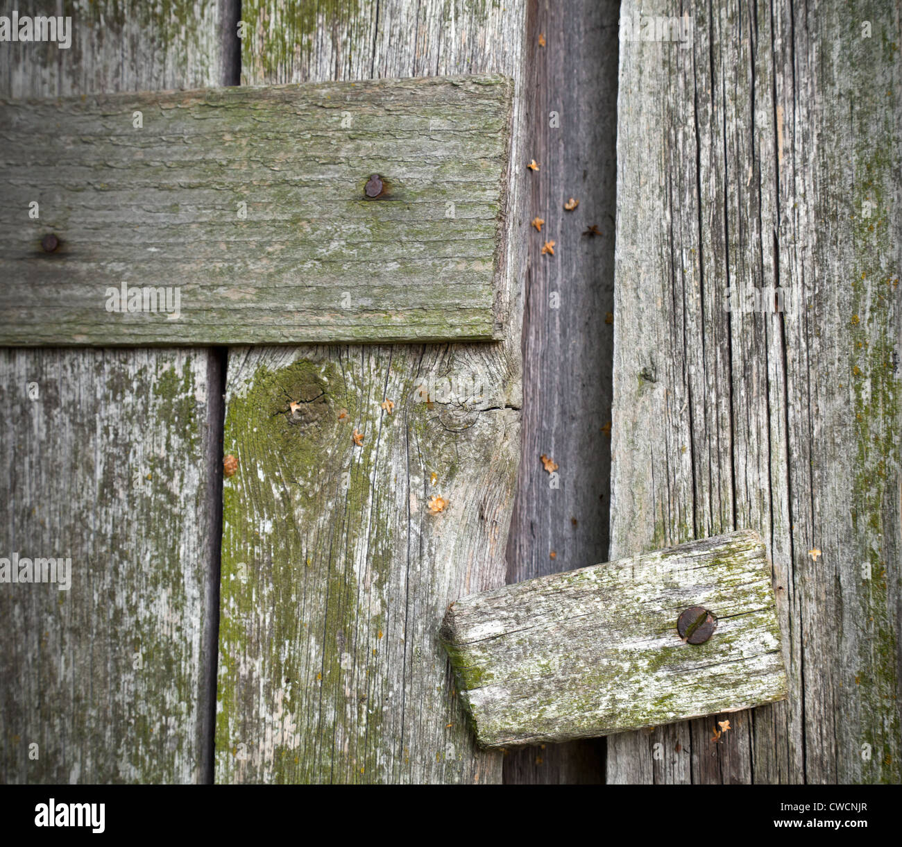 Porte en bois vintage avec fragment capture primitive Banque D'Images