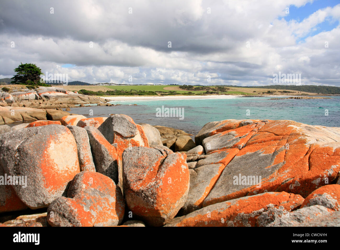Les jardins plages le long de la Bay of Fires, Côte Est de la Tasmanie Banque D'Images