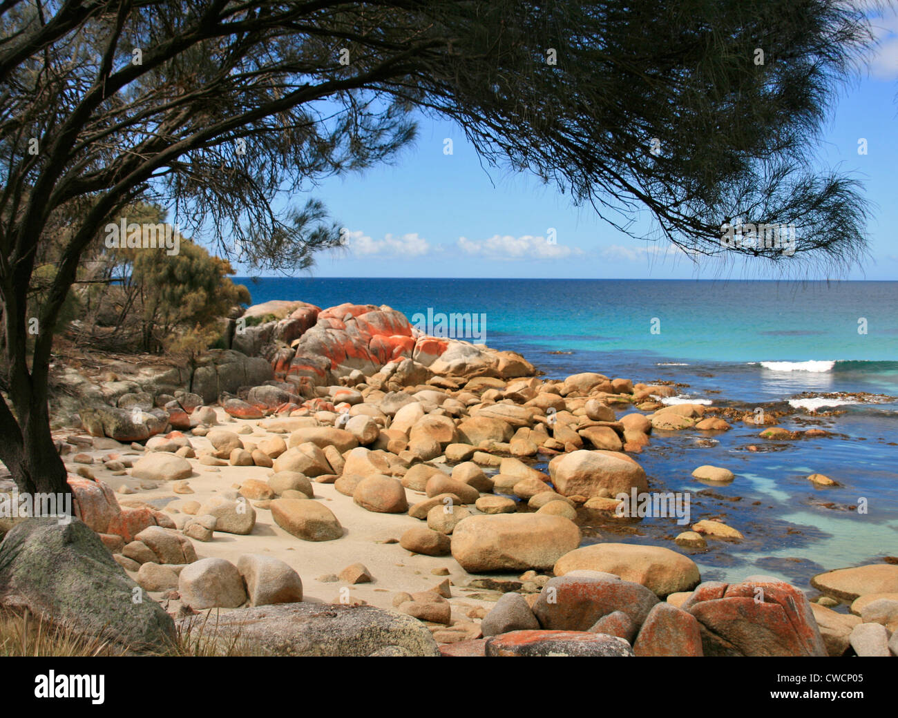 Une petite déferlante à Sloop Beach le long de la Baie d'incendies, la côte est de Tasmanie Banque D'Images