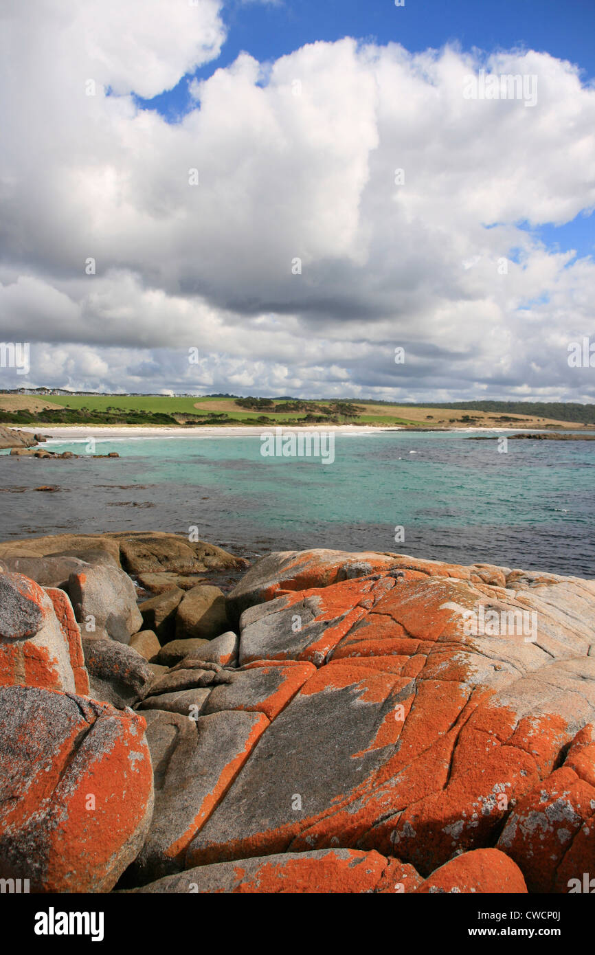 Les jardins plage le long de la Baie d'incendies, la côte est de Tasmanie Banque D'Images