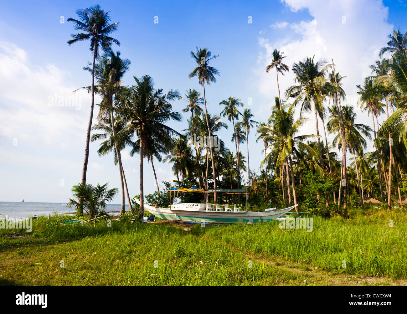 Paysage côtier tropical Banque D'Images