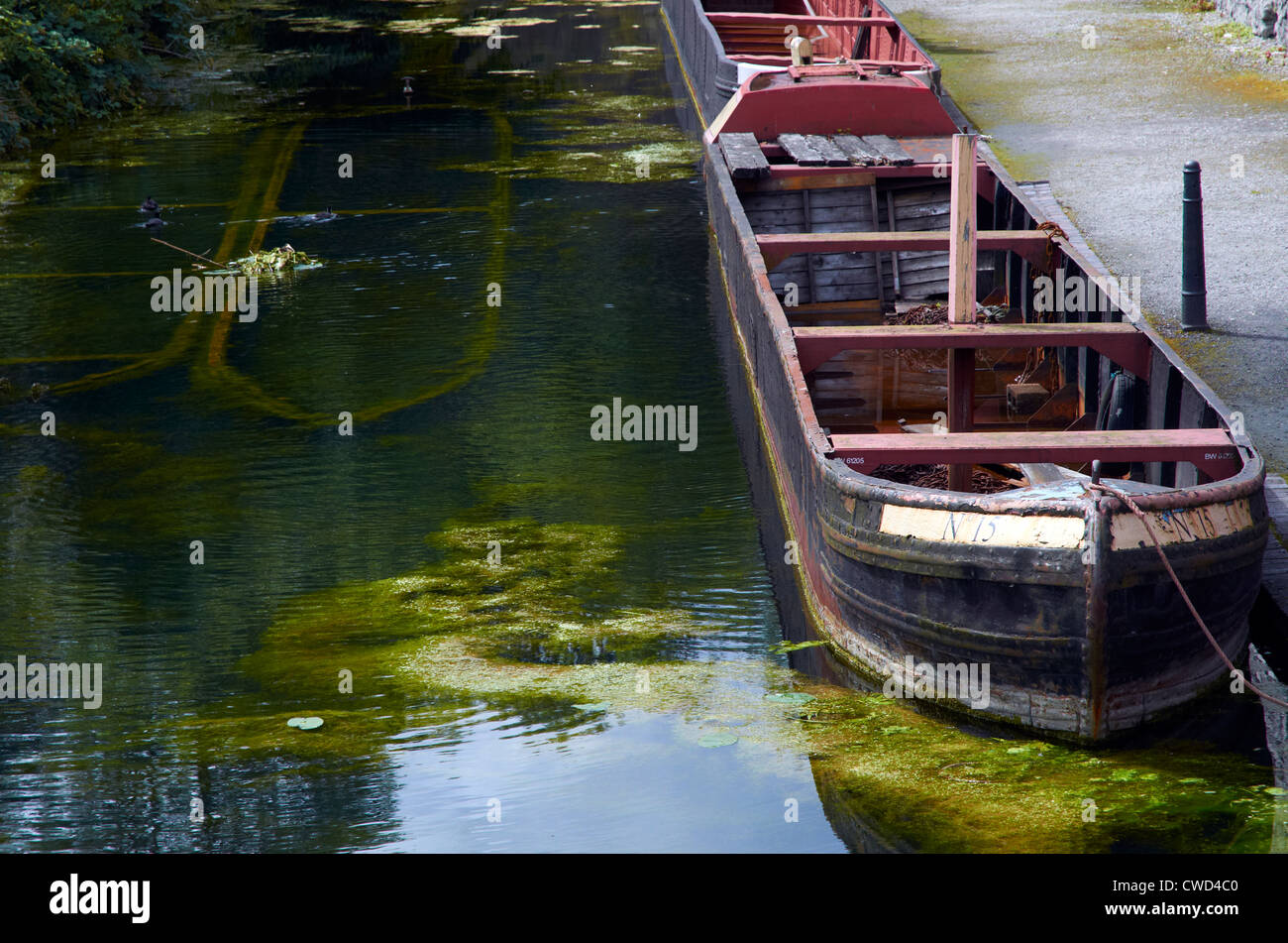 Black Country Living Museum, Dudley, West Midlands. Bateaux dans le canal étroit bassin par les fours à chaux. Bateaux coulés pour préserver le bois. Banque D'Images