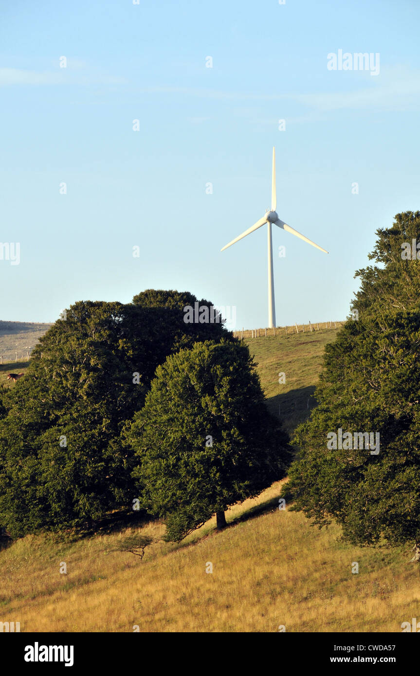 Eolienne Cezallier Auvergne Puy de Dome Massif Central France Banque D'Images