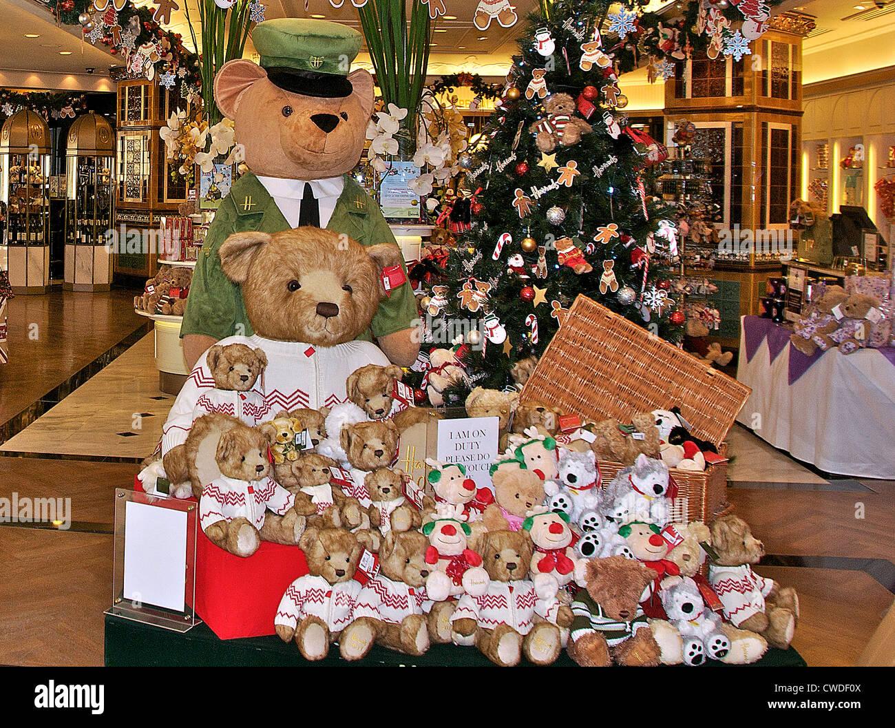 L'ours, le magasin Harrods, centre commercial Suria KLCC, Kuala Lumpur, Malaisie, Asie Banque D'Images
