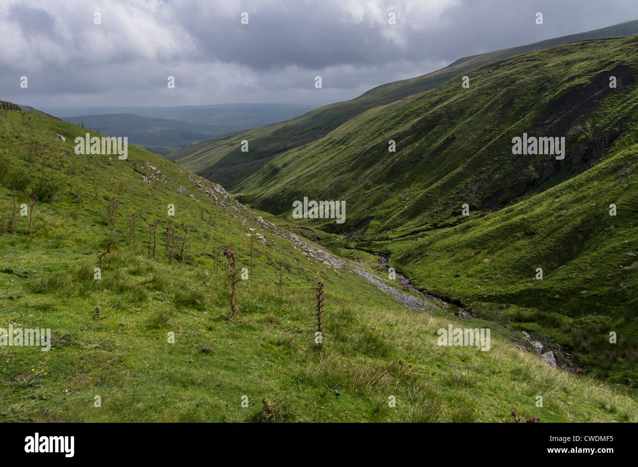 Col Buttertubs, Yorkshire Dales Banque D'Images