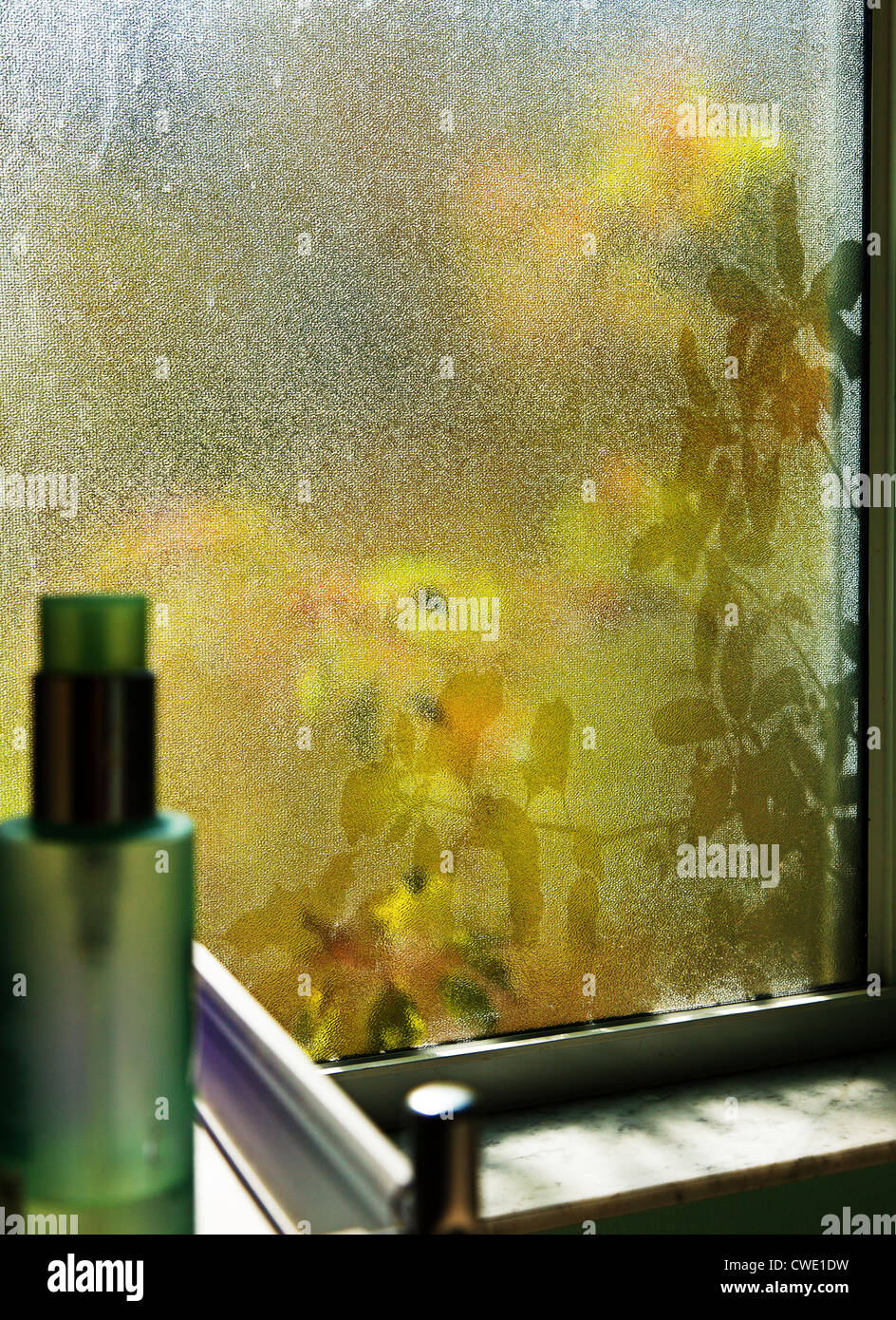 Fenêtre opaque avec des fleurs et des ombres Banque D'Images