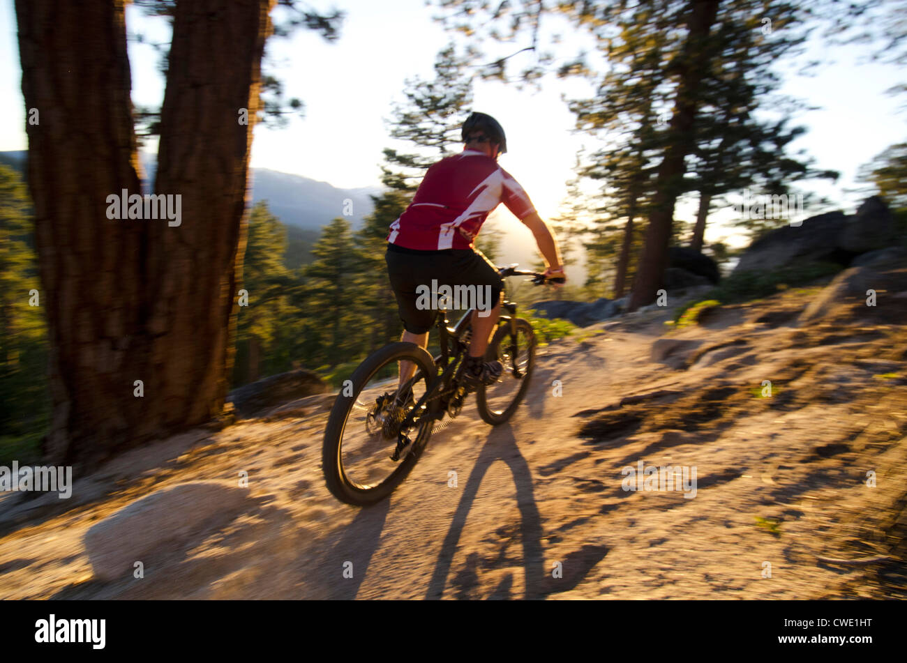 Vélo de montagne sur le Corral Trail dans Lake Tahoe, en Californie. Banque D'Images