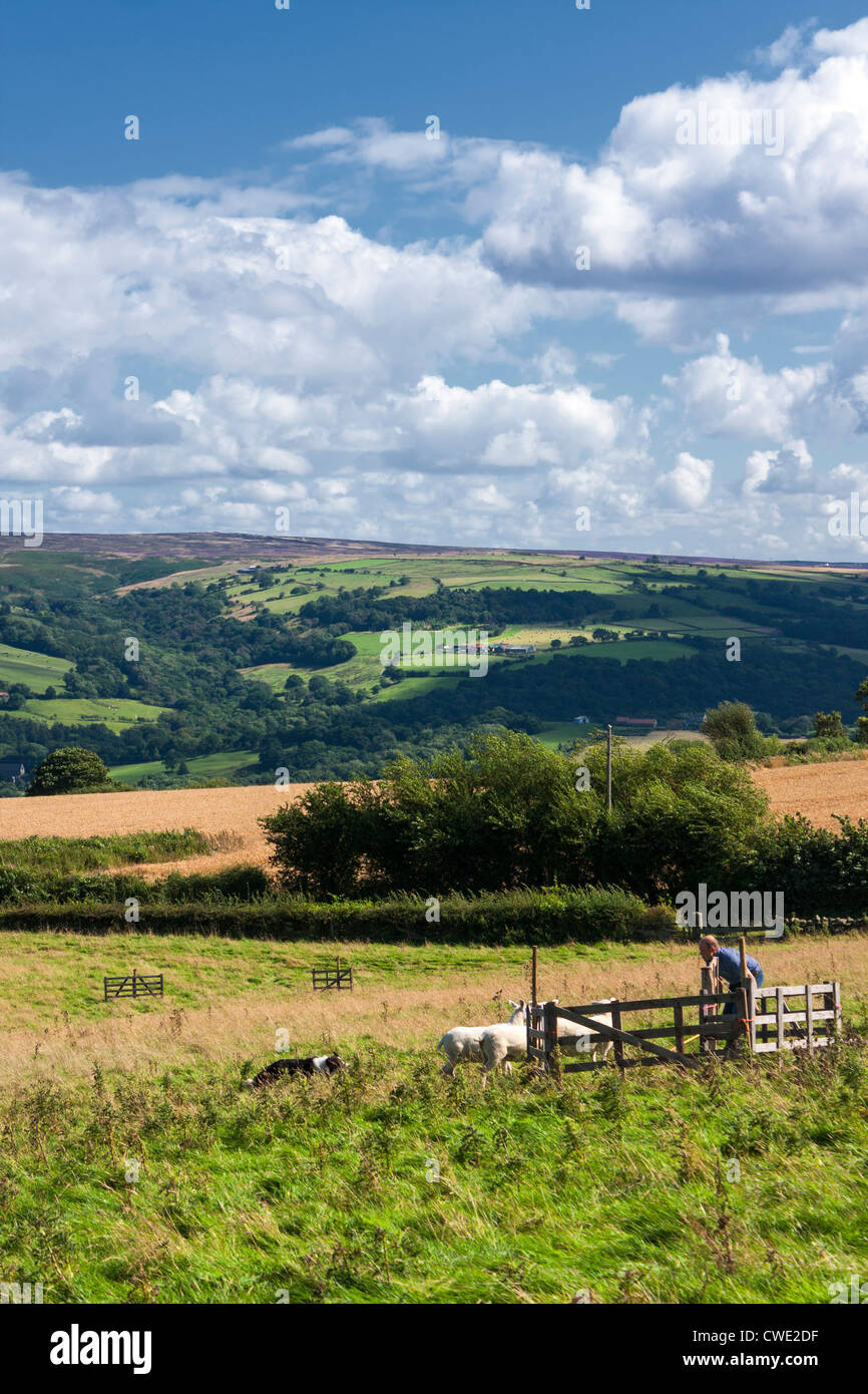 Village Egton comice agricole, près de Whitby, North Yorkshire. Banque D'Images