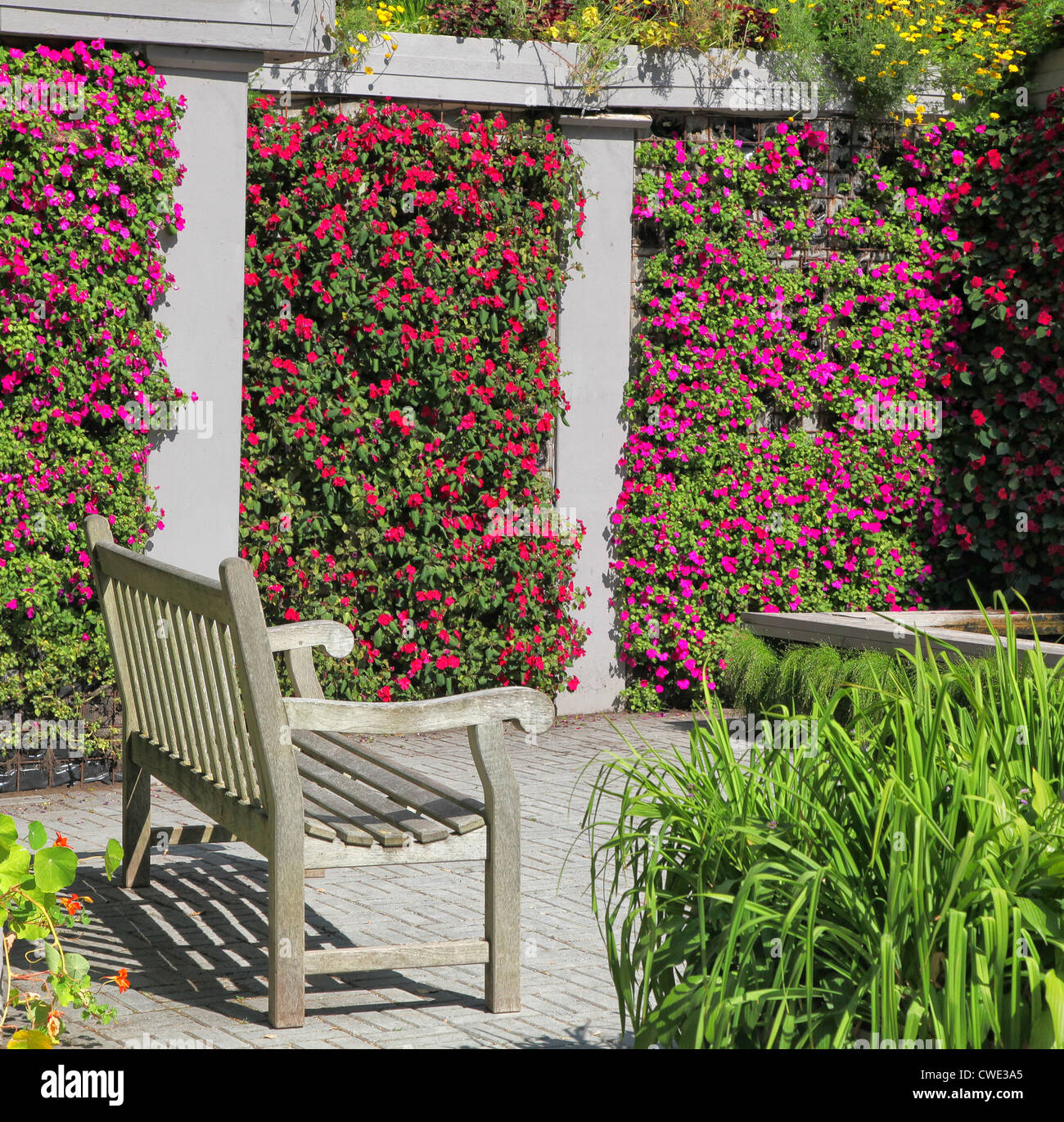 Un banc en bois dans un jardin coloré avec des murs à créneaux de l'impatiens à fleurs éclatantes. Banque D'Images