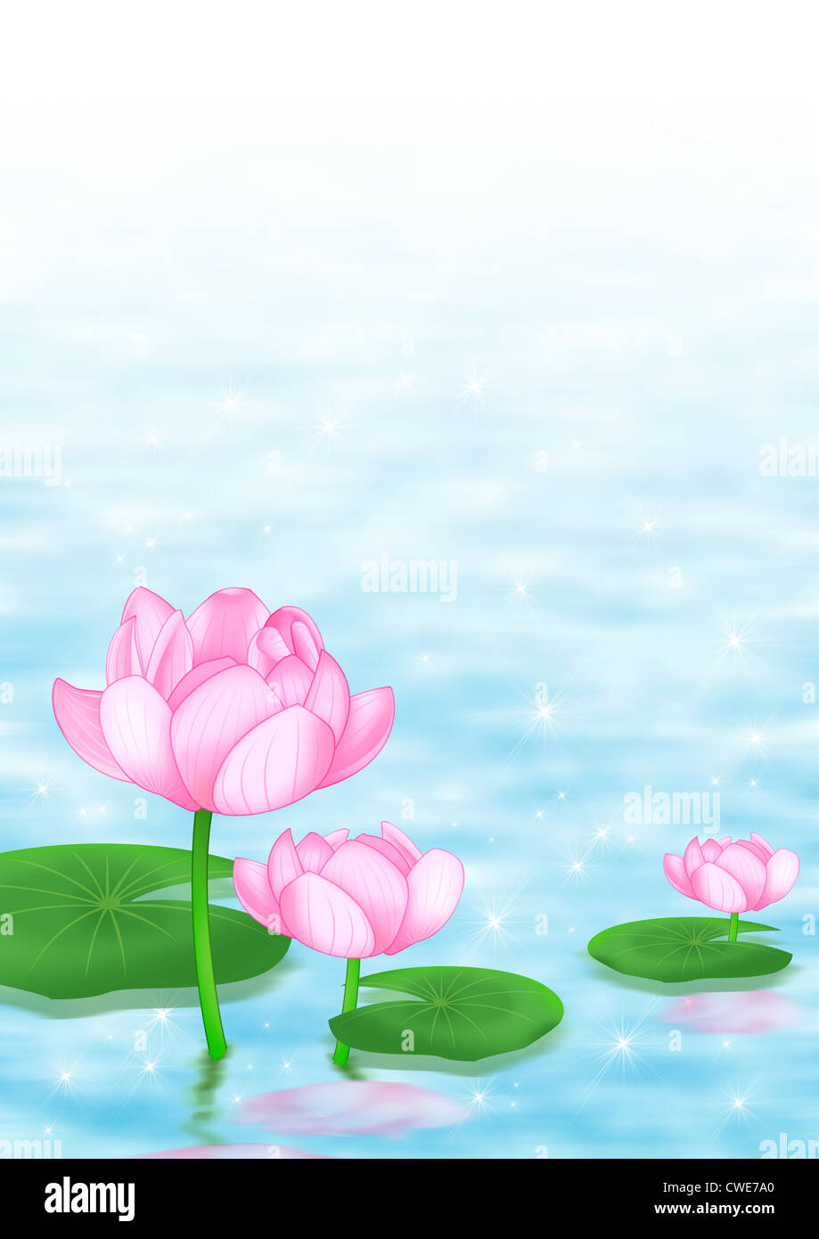 Illustration de Water Lily Banque D'Images