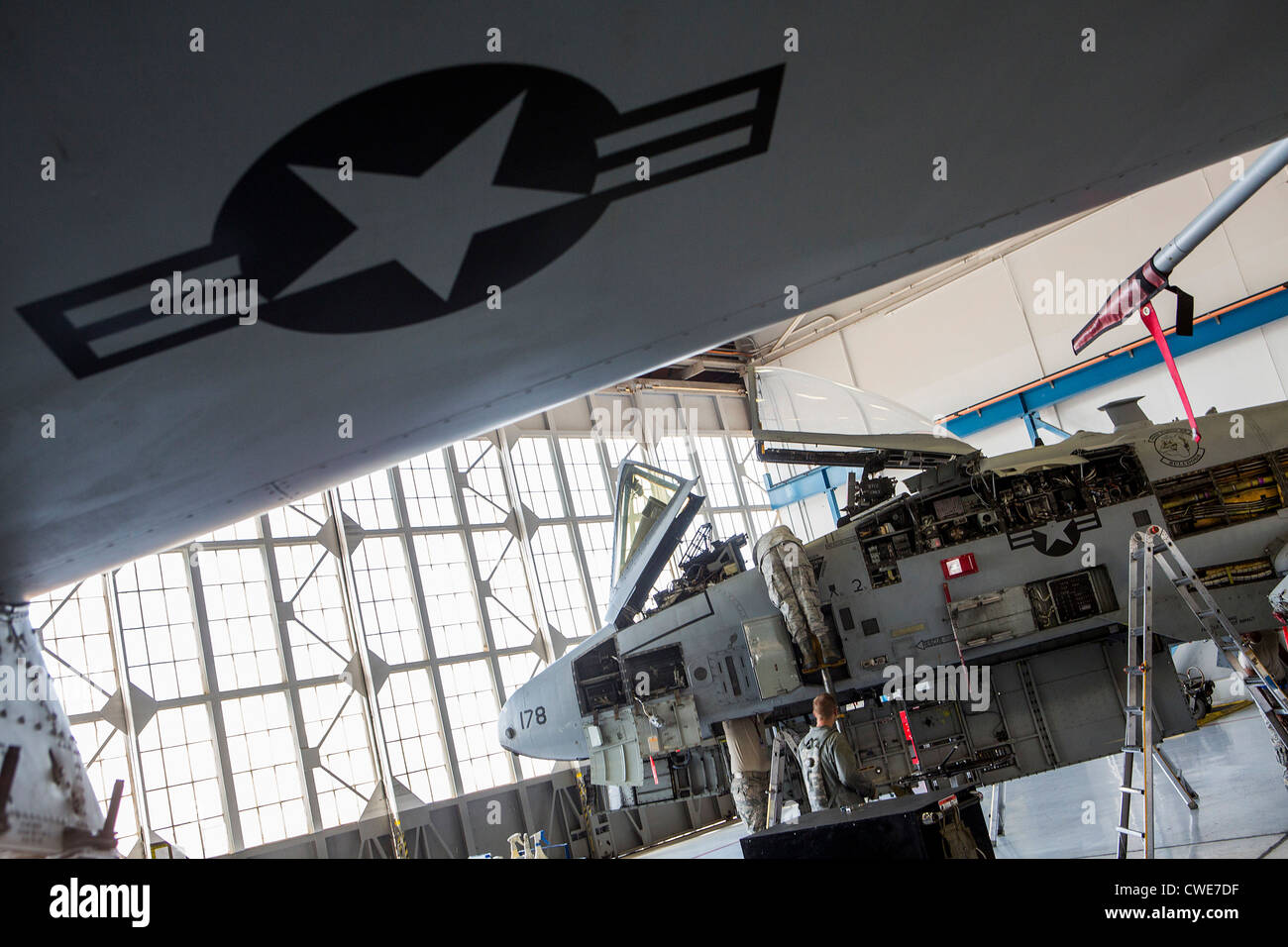 Aviateurs, effectuer des travaux de maintenance sur un A-10 Thunderbolt du 354e Escadron de chasse à la base aérienne Davis-Monthan Air Force Base. Banque D'Images