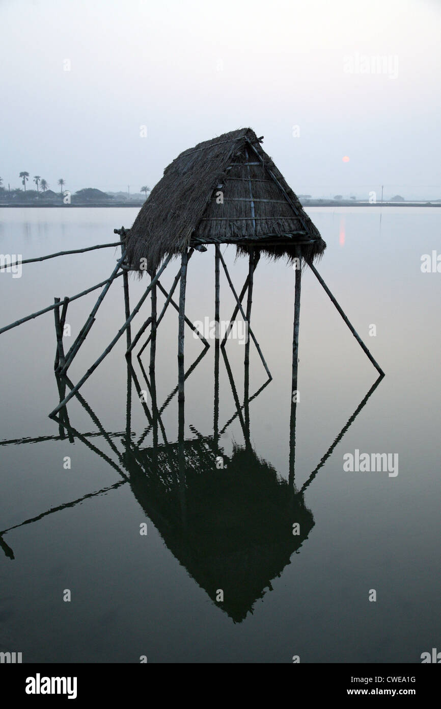 Modeste paillote de pêcheurs indiens dans le Gange, Sundarbans, Bengale occidental, Inde Banque D'Images