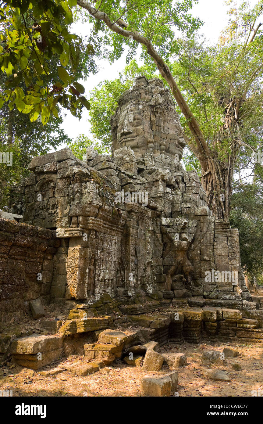 Vue verticale de l'une des pierre entrées gopura toTa Prohm aka Rajavihara ou Tomb Raider le temple à Angkor. Banque D'Images
