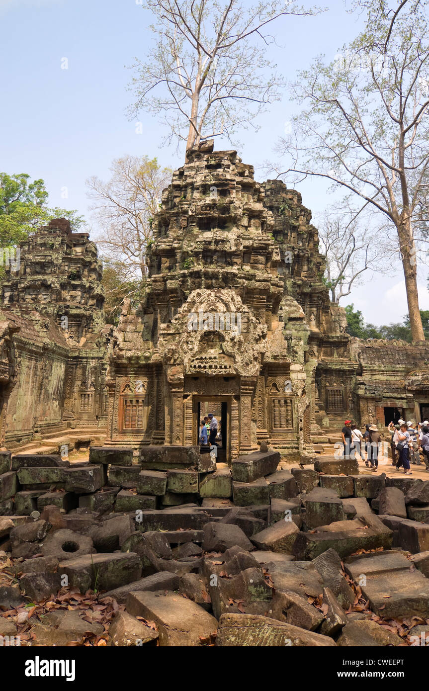 Vue verticale de touristes marcher parmi les ruines de Ta Prohm aka Rajavihara ou le temple de Tomb Raider à Siem Reap. Banque D'Images