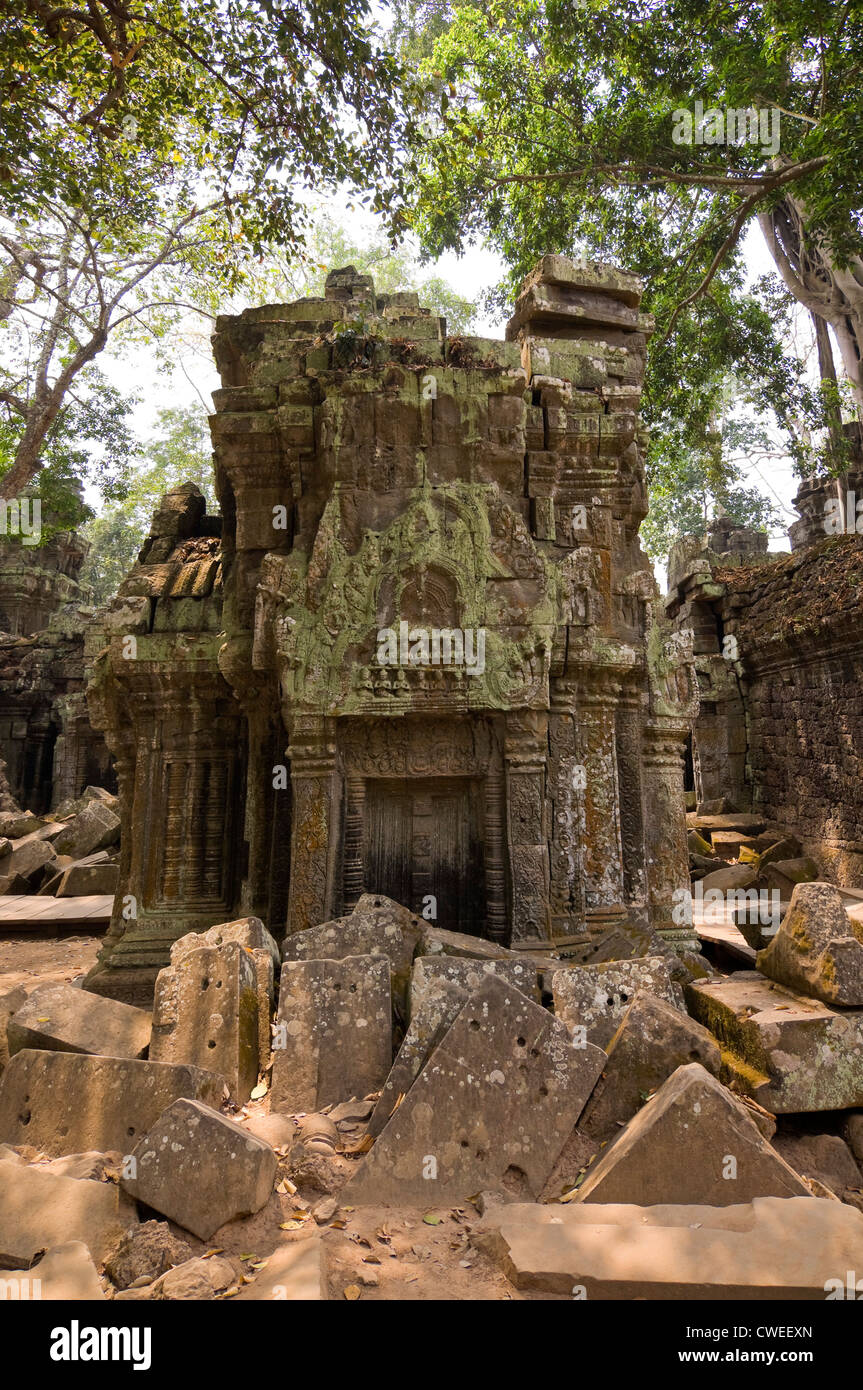 Vue verticale des ruines à l'intérieur de Ta Prohm aka Rajavihara ou l'Tomb Raider temple à Angkor Thom, au Cambodge Banque D'Images