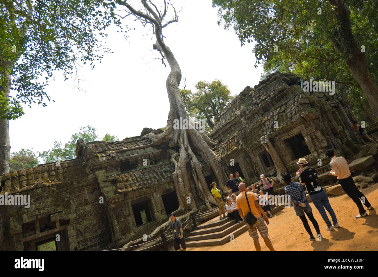 Vue horizontale de l'étrange Ta Prohm aka Rajavihara ou Tomb Raider le temple à Angkor. Banque D'Images