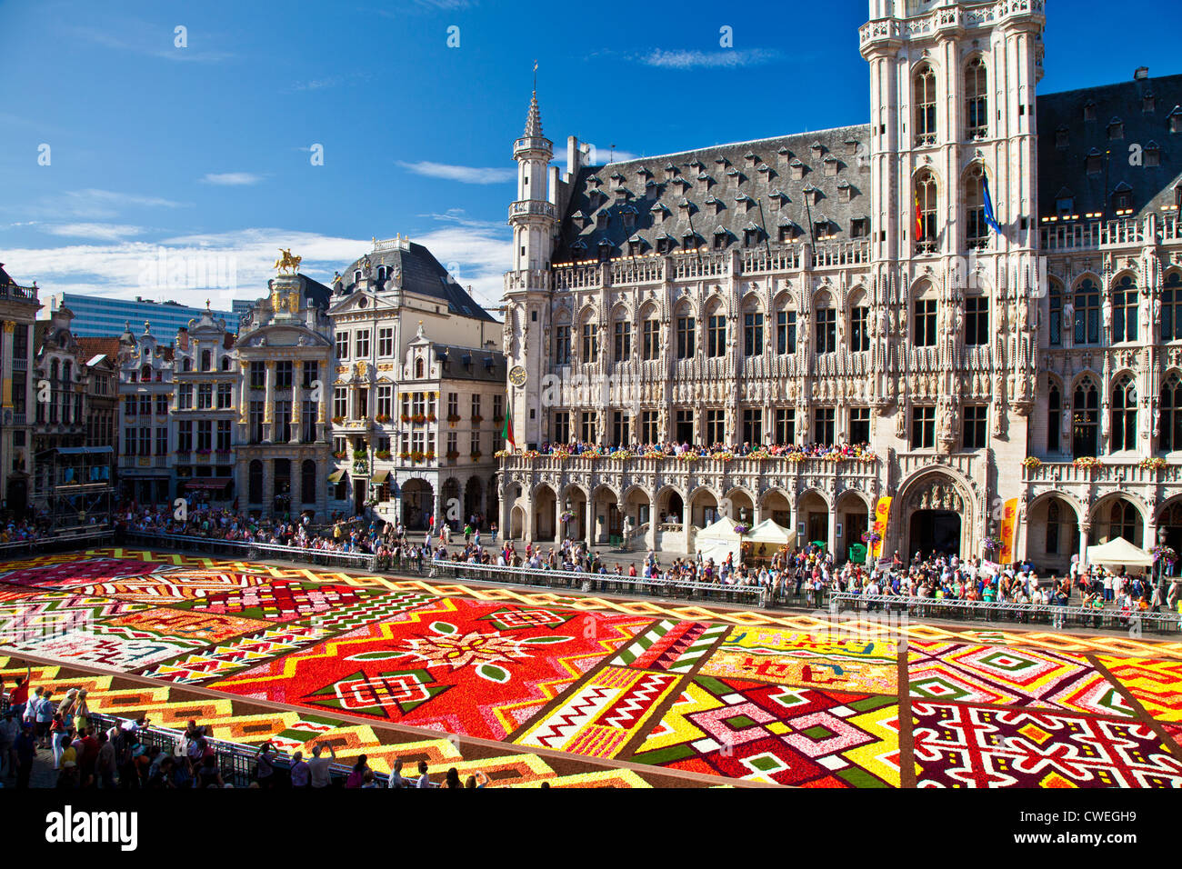 2012 Tapis de Fleurs, Tapis de Fleurs, en face de l'Hôtel de Ville en la Grand-Place de Bruxelles Banque D'Images