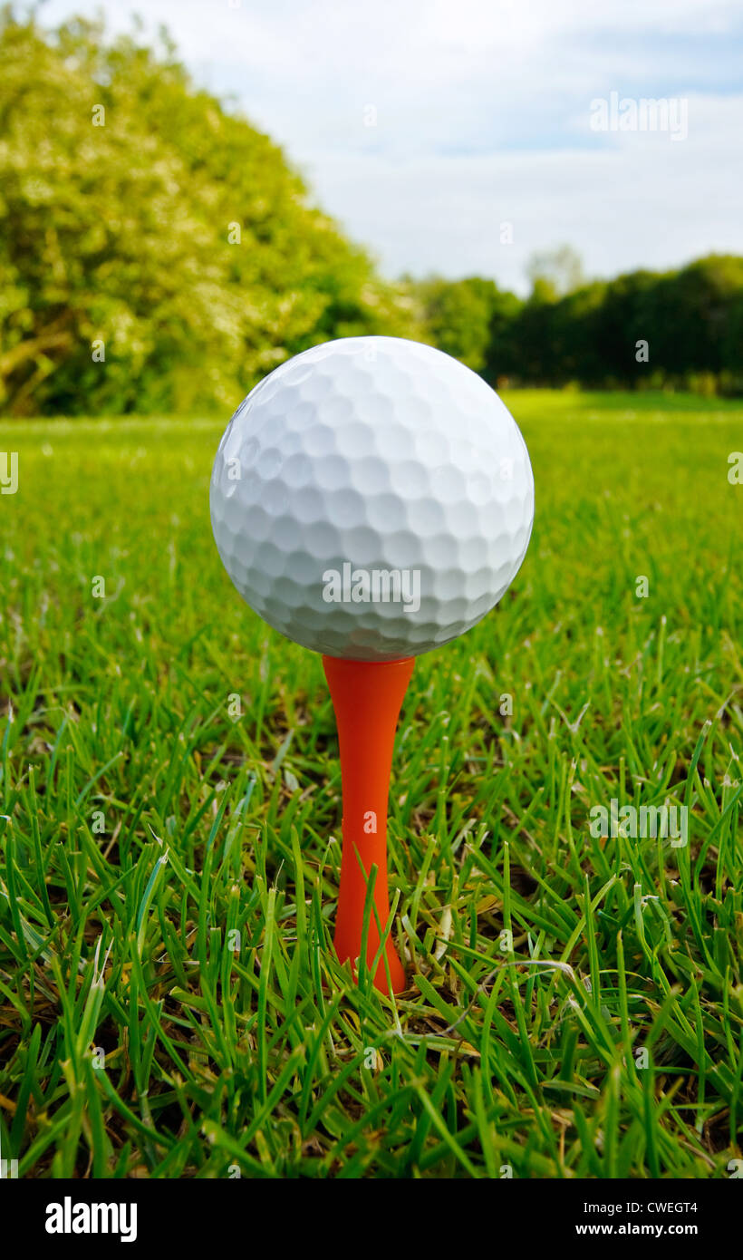 Balle de Golf sur tee close up avec fairway et drapeau en distance Banque D'Images