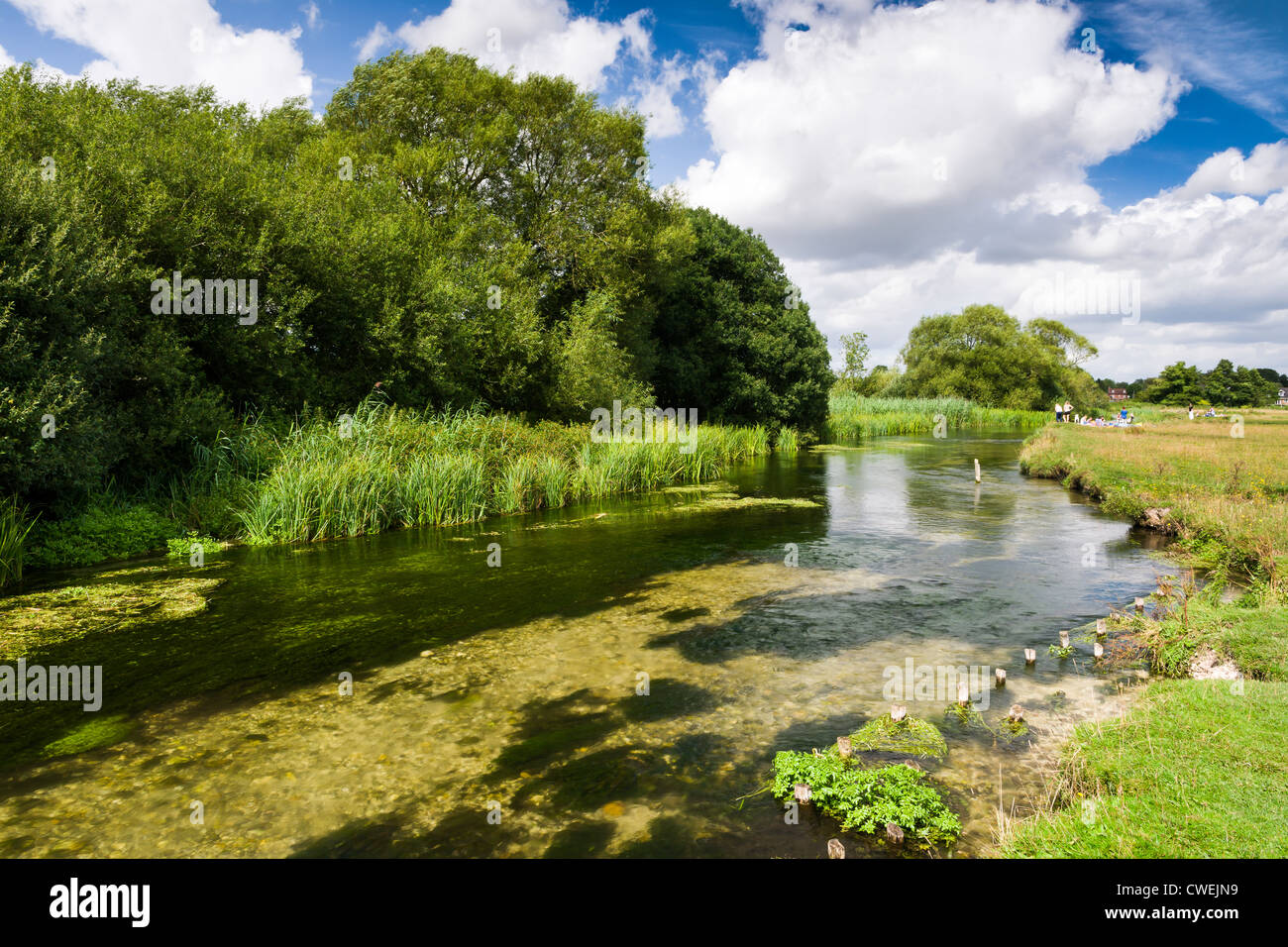 La rivière Test à Stockbridge, Hampshire - Angleterre Banque D'Images