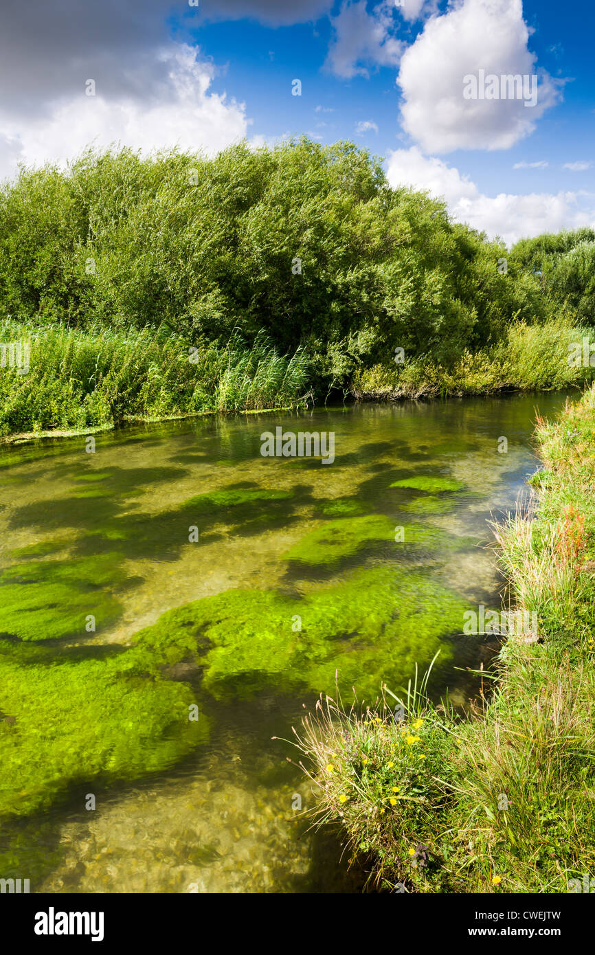 La rivière Test à Stockbridge, Hampshire - Angleterre Banque D'Images