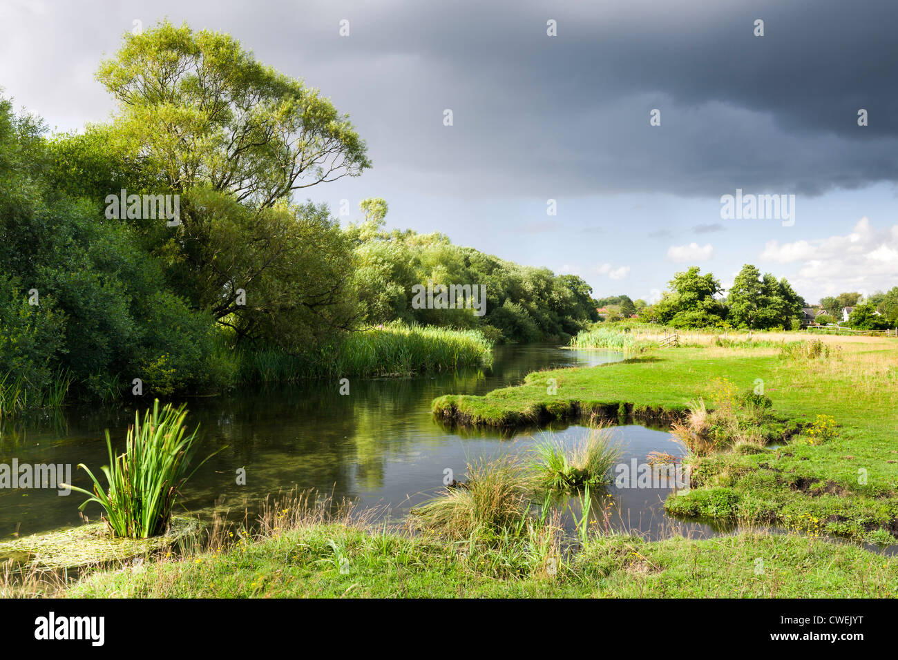 La rivière Test à Stockbridge, Hampshire - Angleterre Banque D'Images