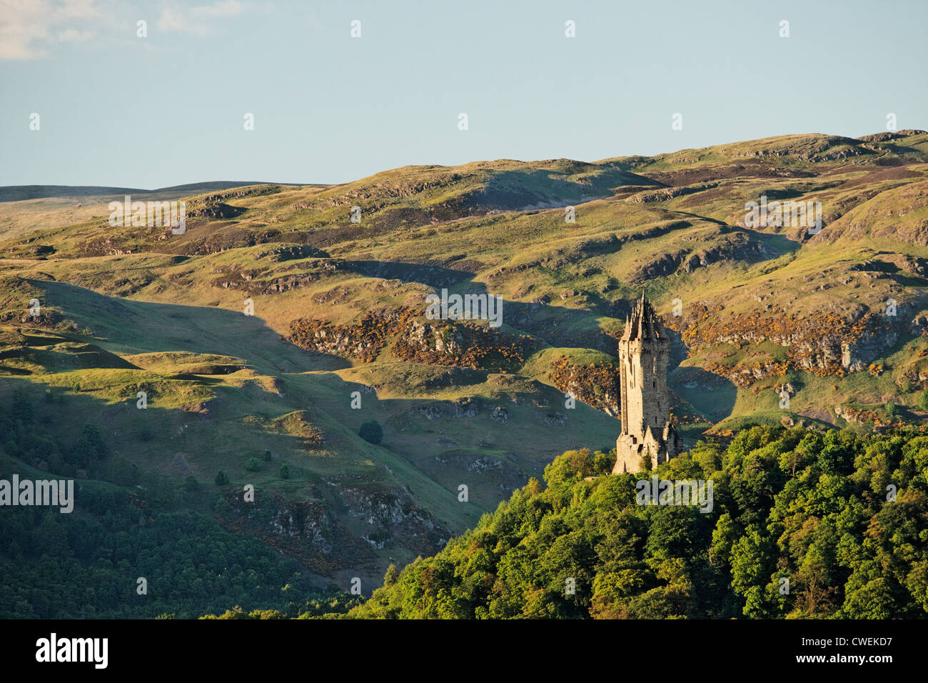 Le Monument National à Wallace, Stirling, Ecosse, Royaume-Uni. Banque D'Images