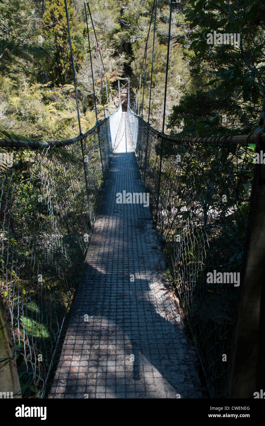 Sur l'Abel Tasman Coastal Track un swingbridge traverse la rivière des chutes. Hängebrücke auf dem Abel Tasman Coastal Track. Banque D'Images