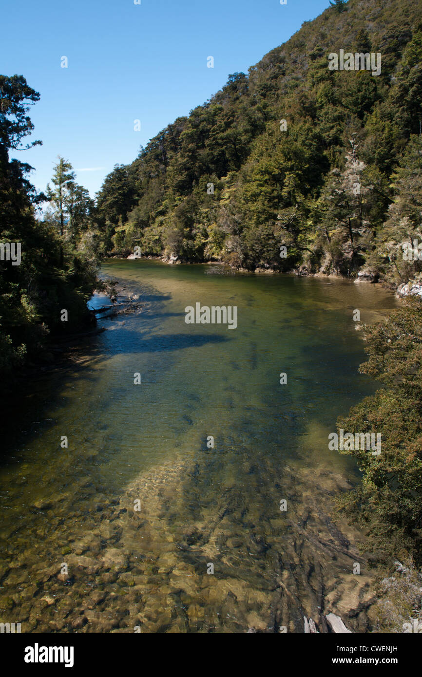 L'eau claire de la rivière coule à travers Falls Parc national Abel Tasman vers Golden Bay. Falls-Fluss der im Abel Tasman NP Banque D'Images