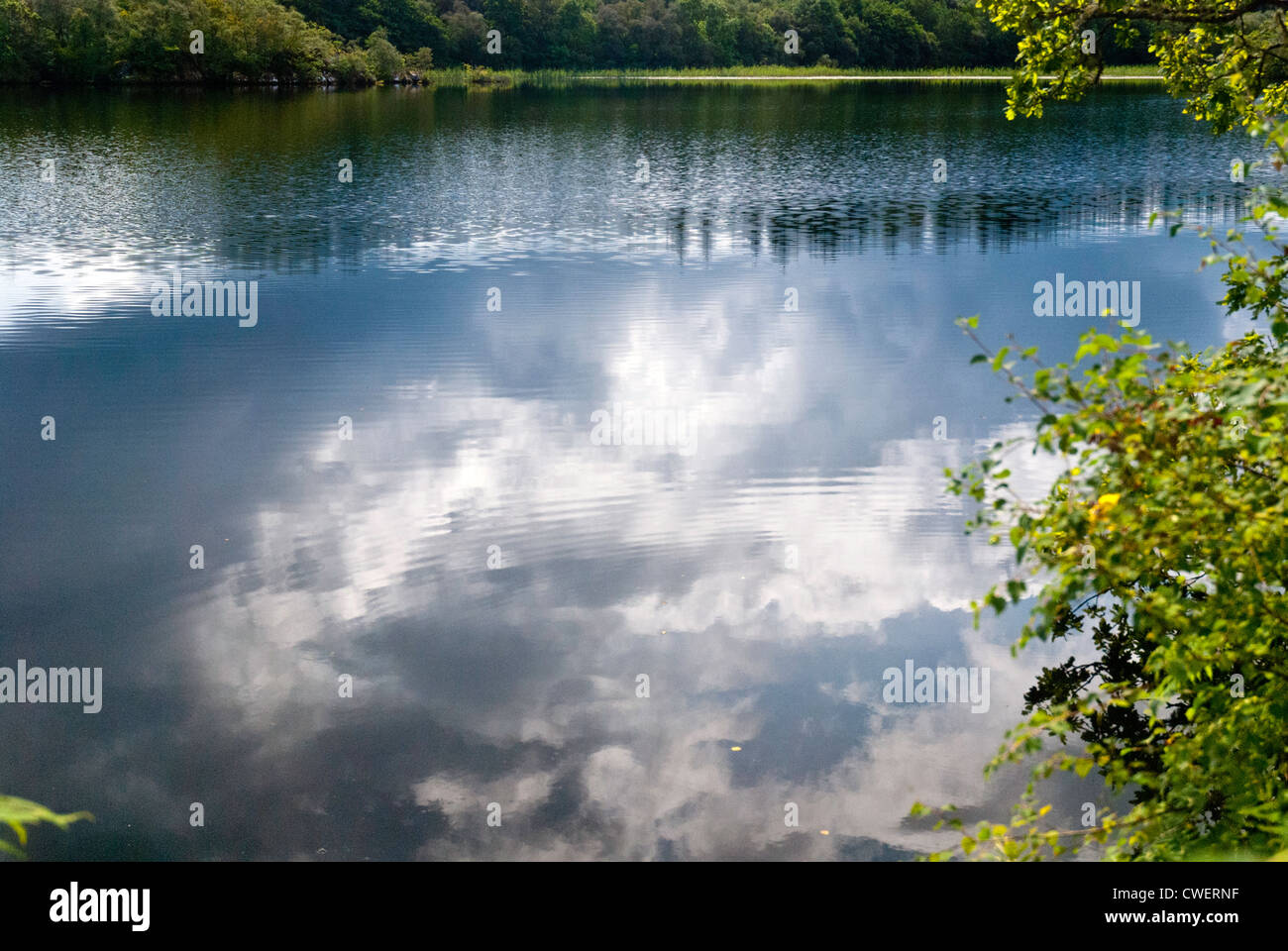 Une vue sur le Loch, Coille-Bharr Knapdale, Argyll and Bute, Ecosse Banque D'Images