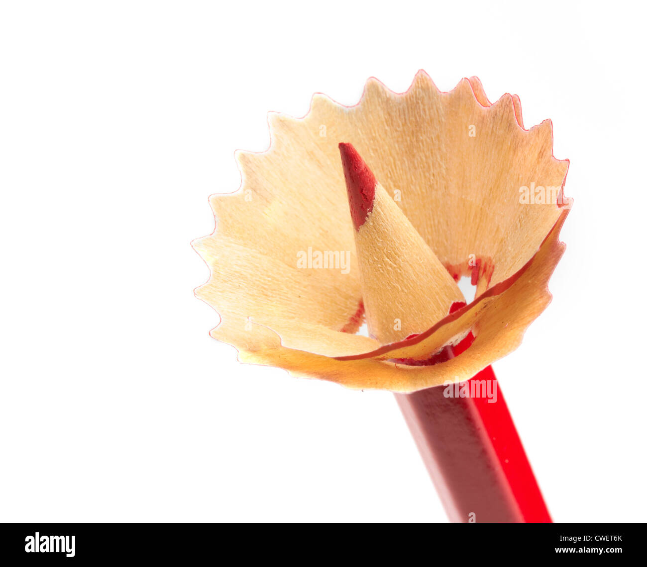 Crayon rouge à décor de fleurs en Banque D'Images