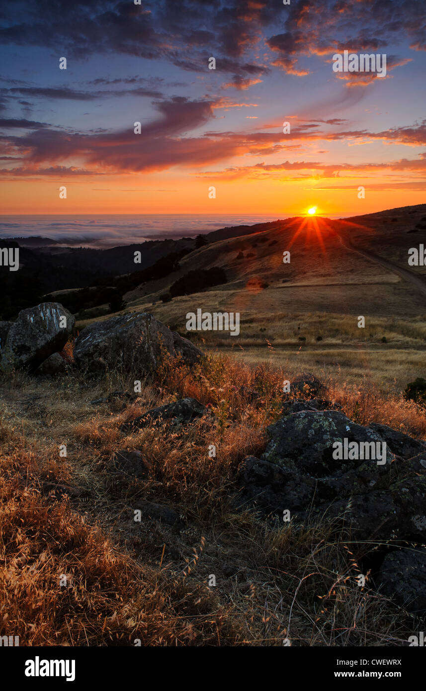 Le coucher du soleil, les montagnes de Santa Cruz, Californie, CA Banque D'Images