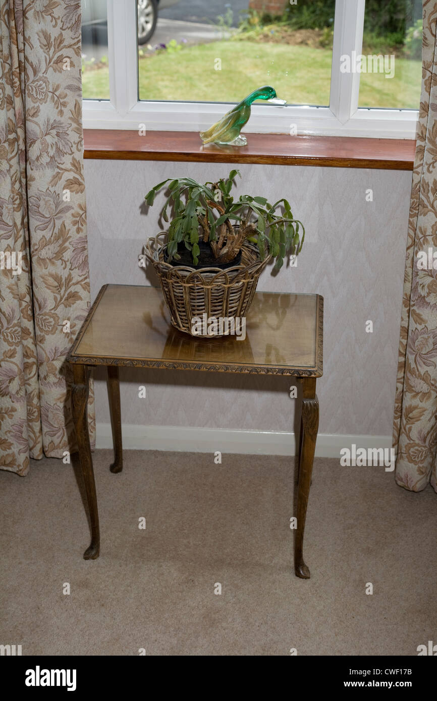 Un verre vert canard sur un rebord de fenêtre avec une table couverte de verre et de plante d'intérieur Banque D'Images