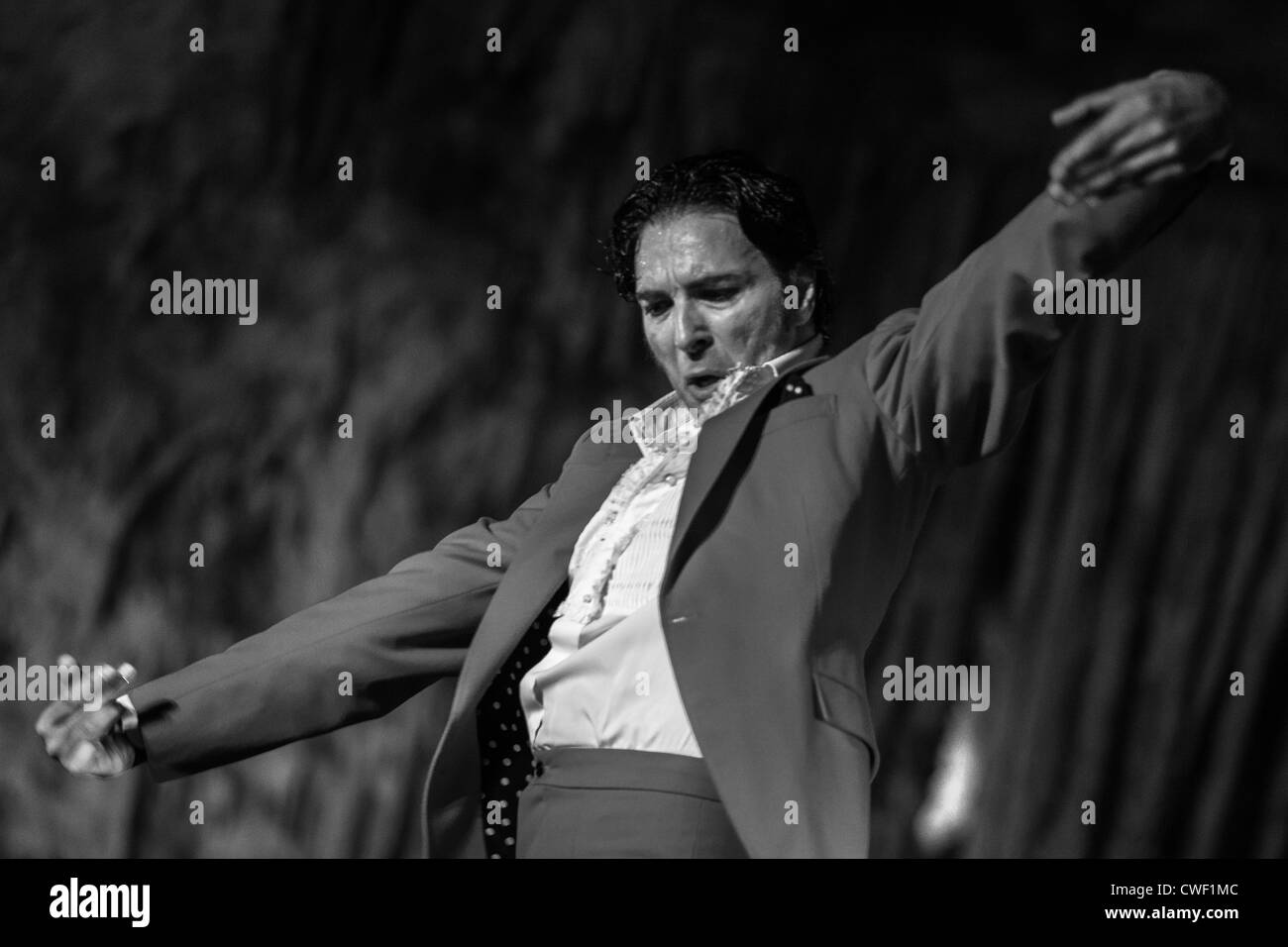 Les danseurs de flamenco de l'Antonio El Pipa collectifs de danse en spectacle dans les grottes de Nerja en Espagne en 2012. Banque D'Images