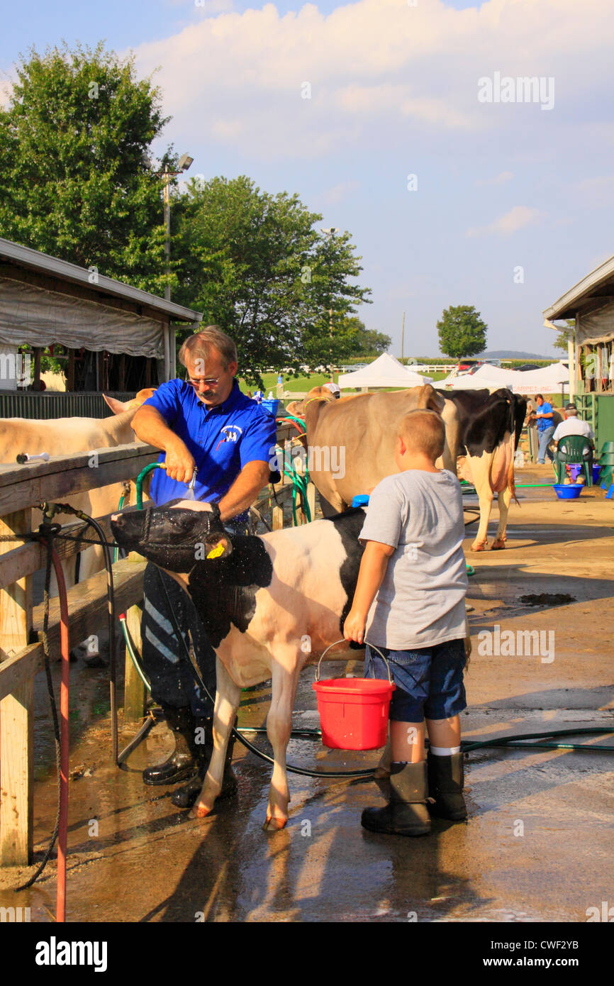 Lave-Vache, Rockingham County Fair, Harrisonburg, vallée de Shenandoah, en Virginie, USA Banque D'Images