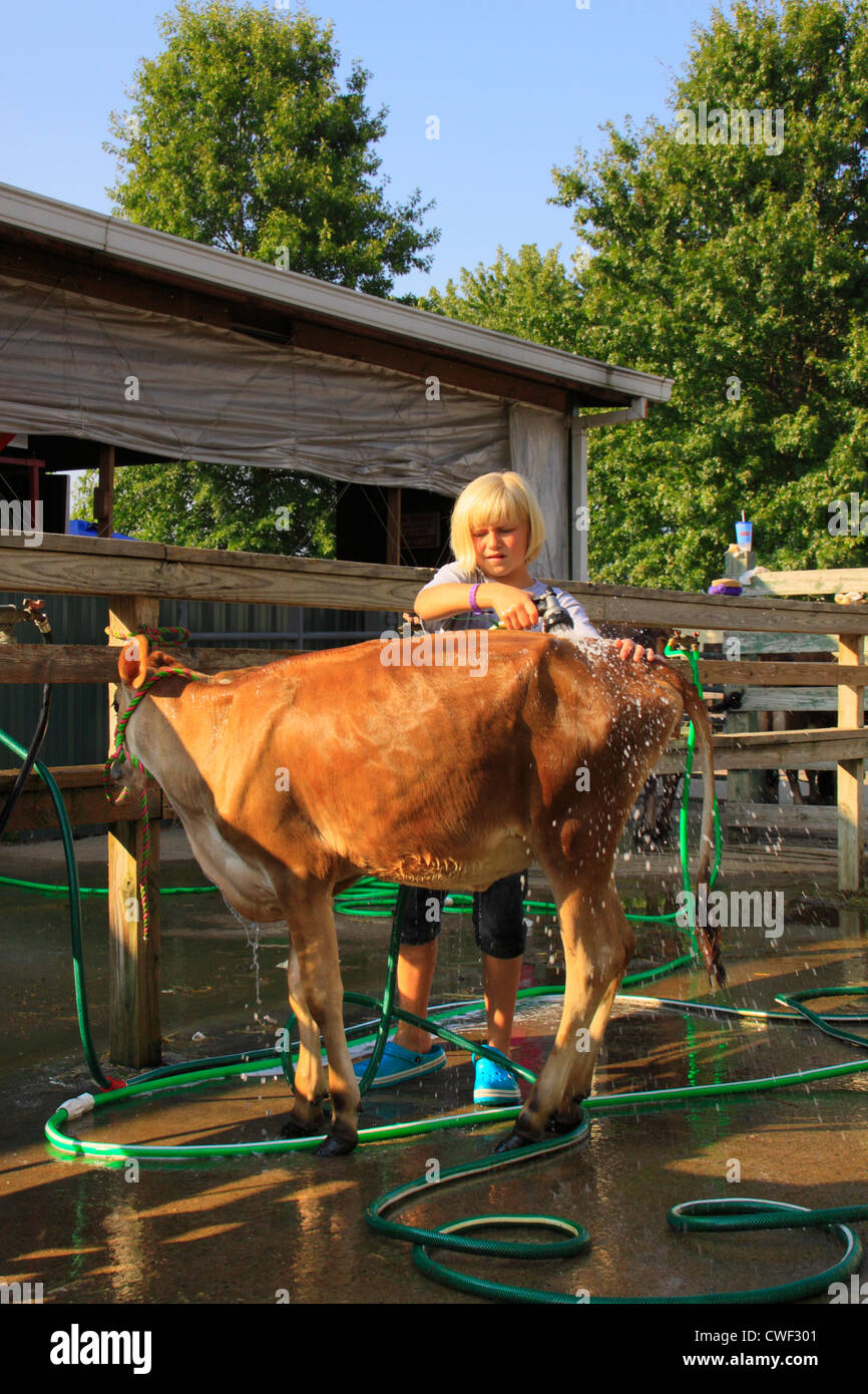 Lave-Vache, Rockingham County Fair, Harrisonburg, vallée de Shenandoah, en Virginie, USA Banque D'Images