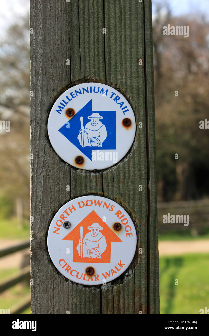 Reigate Hill dans les North Downs, Surrey, Angleterre, Royaume-Uni Banque D'Images