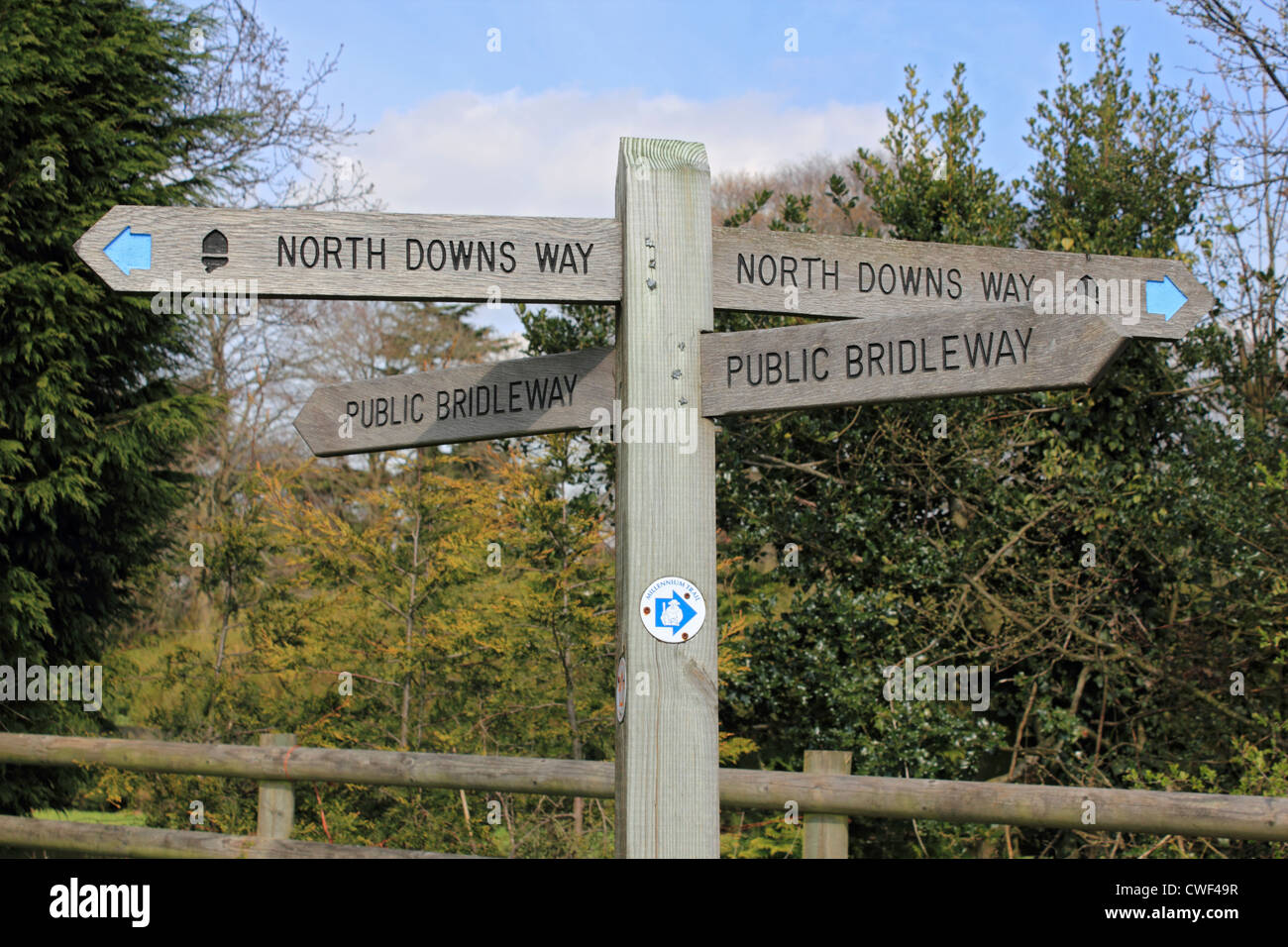 Reigate Hill dans les North Downs, Surrey, Angleterre, Royaume-Uni Banque D'Images