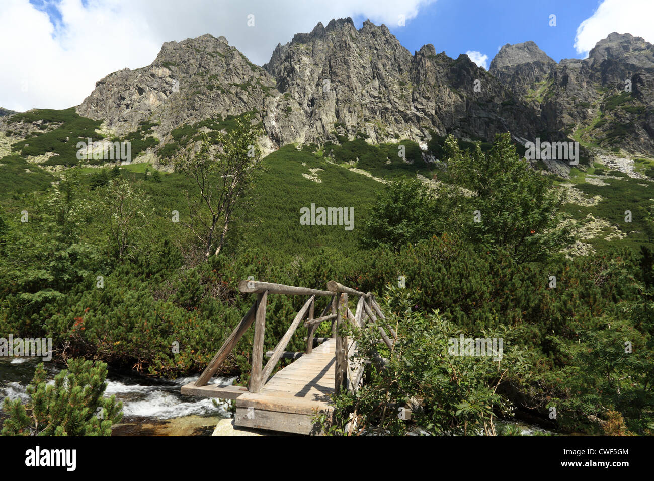 Pont de bois sur la Velky Studeny potok à Velka Studena dolina, Hautes Tatras, en Slovaquie. Banque D'Images