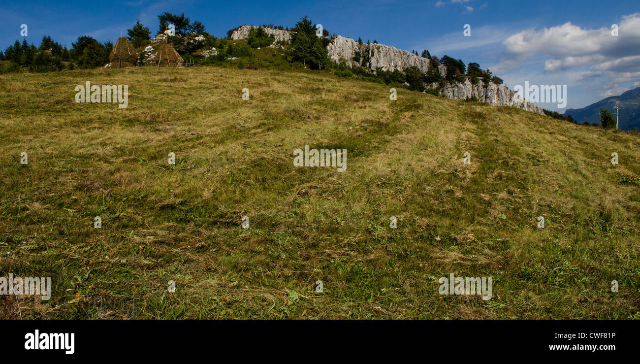 Paysage agricole traditionnel et la pratique dans le parc national de Piatra Craiului, Brasov, en Transylvanie, Roumanie Banque D'Images