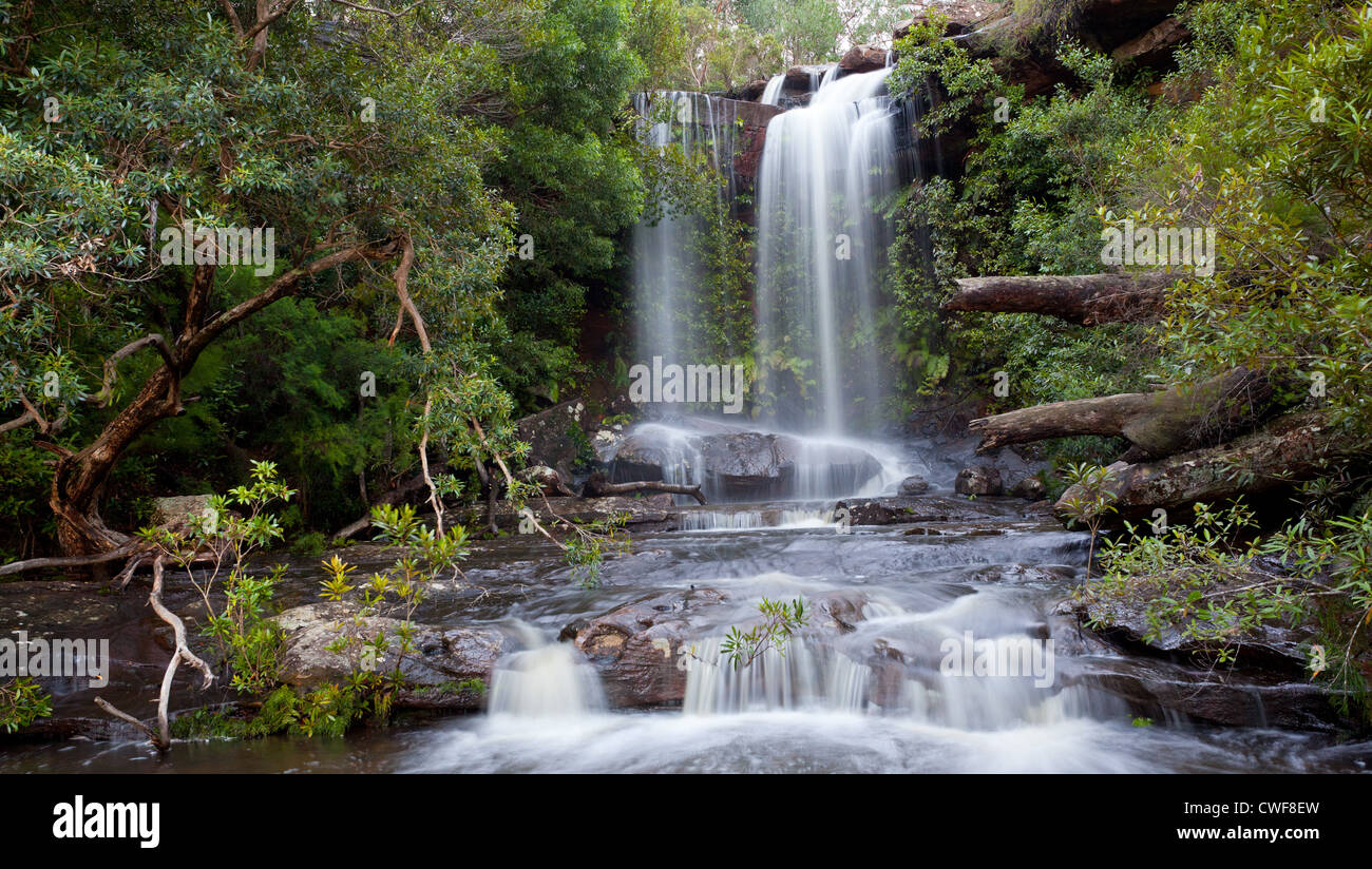 National Supérieur de chutes d'eau de la Royal National Park, NSW, Australie Banque D'Images