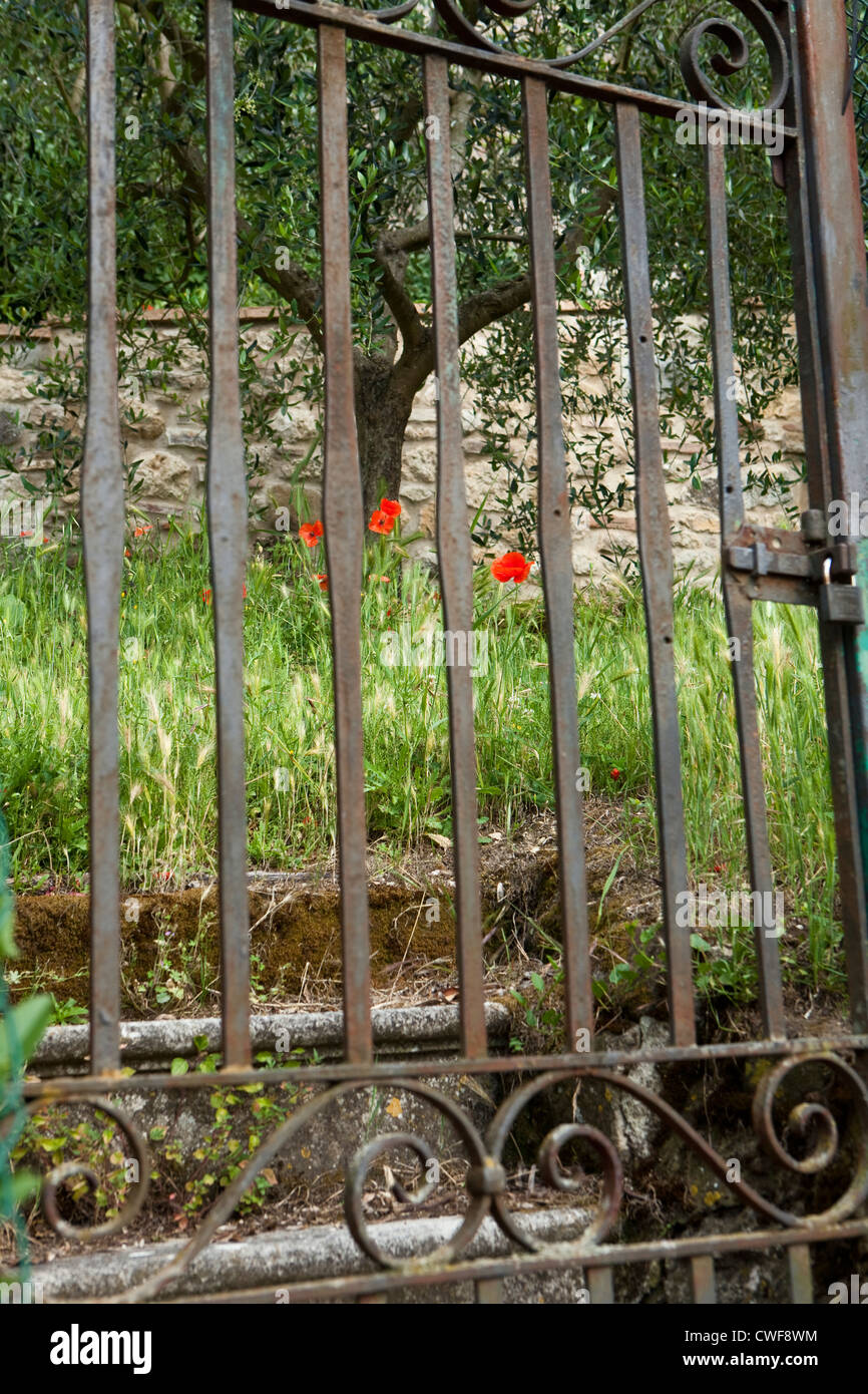 La toscane, italie Banque D'Images